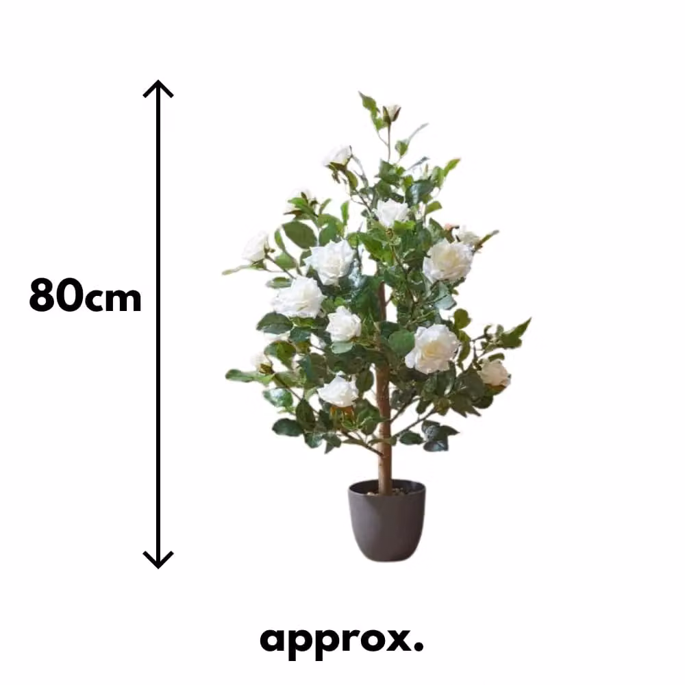 Marco Paul 80cm Artificial White Rose Plant – 2