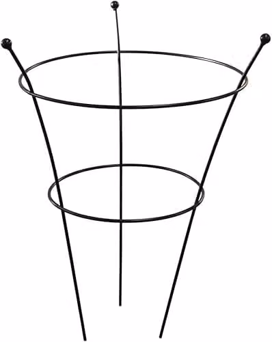 Garden Gear Black Steel Medium Peony Frame Outdoor Heavy Duty Herbaceous Garden Plant Support Ring, W: 34 cm, H: 63 cm – 1
