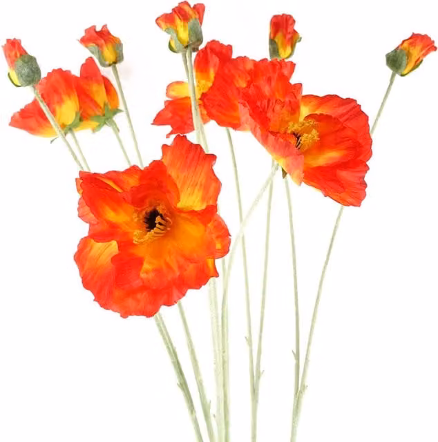 Leaf Pack of 6 Red Artificial Poppy Stems with 2 Flowers, Height: 100 cm