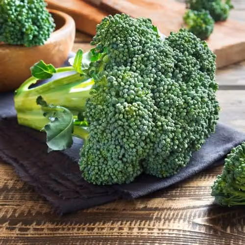 Thompson & Morgan Broccoli Beneforte F1 Seeds, Hardy Green Calabrese Superbroccoli, 10 Seeds per Packet