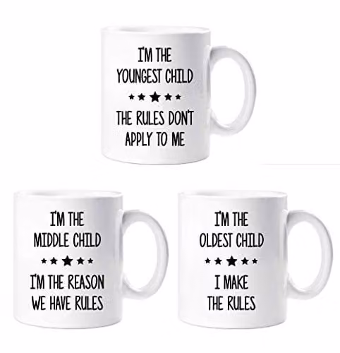 60 Second Makeover Sibling Rivalry Rules Mug Set in White