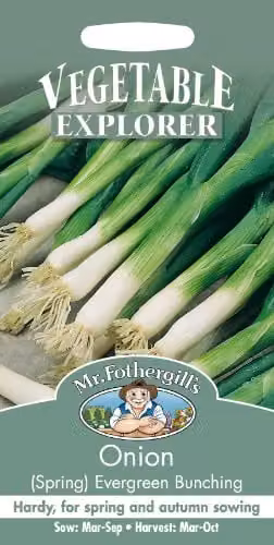 Mr Fothergill's Evergreen Bunching Spring Onion Seeds – 1
