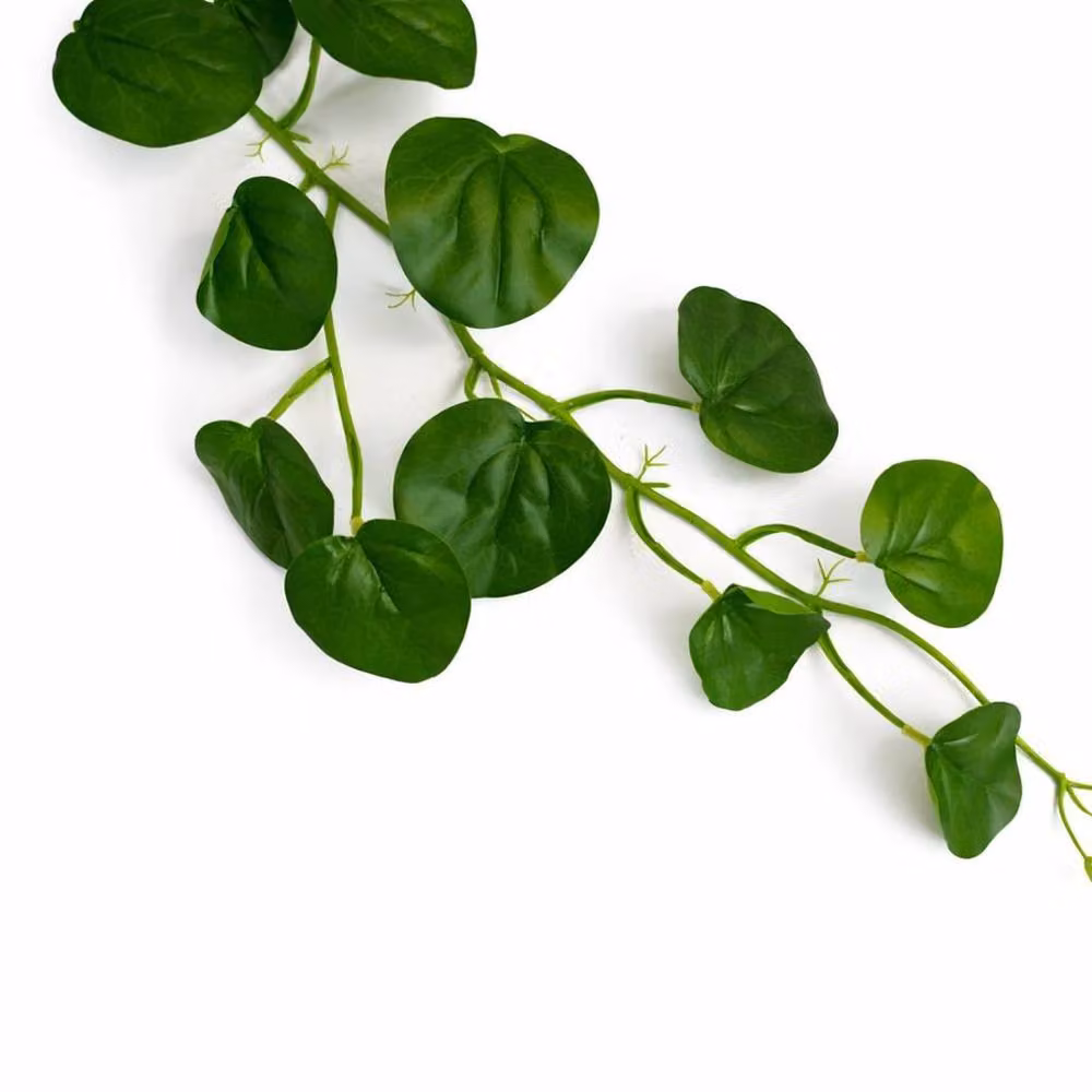 Leaf Green Artificial Round Pilea Hanging Garland Decoration, 160 cm – 3