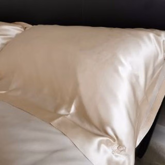 Gloriously Good Plain Breathable Silk Pillowcase in Champagne and Beige