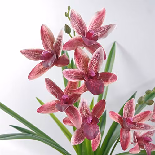 Leaf Dark Pink Artificial Orchid in Ceramic Planter, Height: 50 cm – 4