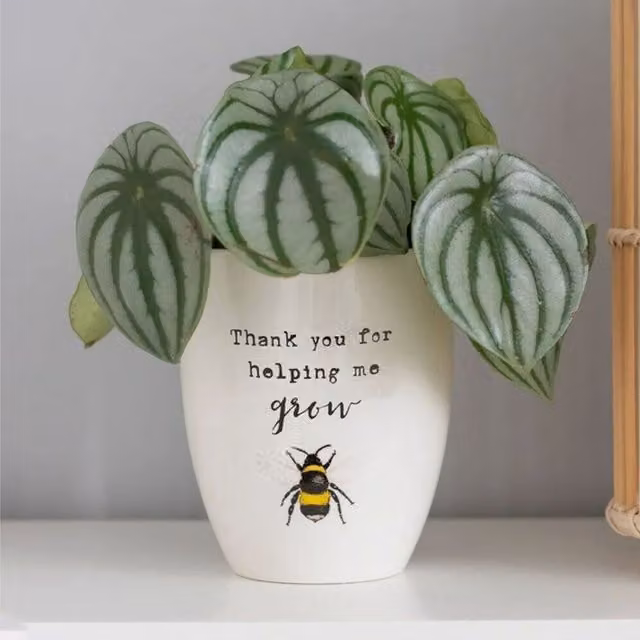 Gloriously Good Thank You For Helping Me Grow Bee Ceramic Plant Pot, White, Round Tabletop Design
