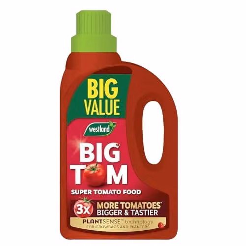 Westland Big Tom Tomato Plant Tonic, 2 l