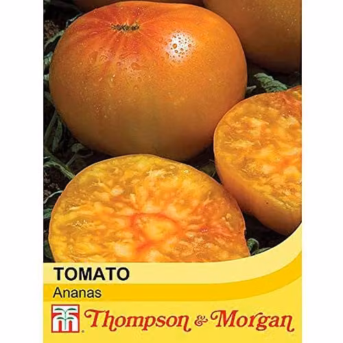 Thompson and Morgan Tomato Ananas Yellow and Orange Vegetable Seeds, 10 Seeds per Packet – 1