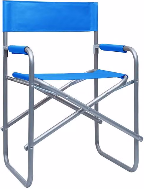 Berkfield Home Director's Chairs, Set of 2, Steel Blue Metal