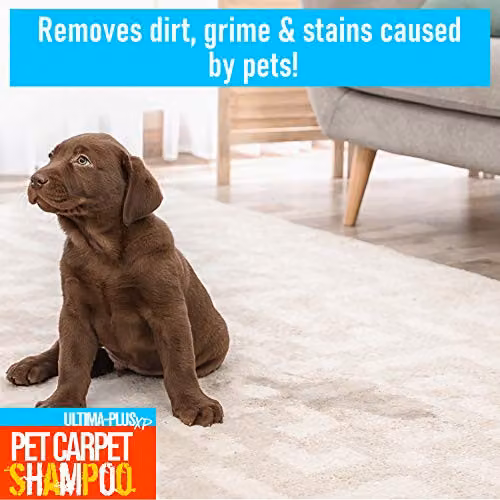 Ultima-Plus XP Citrus Pet Carpet Shampoo Cleaning Solution, Orange, 5 kg – 3