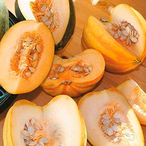 Thompson and Morgan High Sugar Mixed Squash Vegetable Seeds, 10 Seeds per Packet