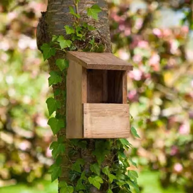 Garden Mile Wooden Robin Nest Box in Brown