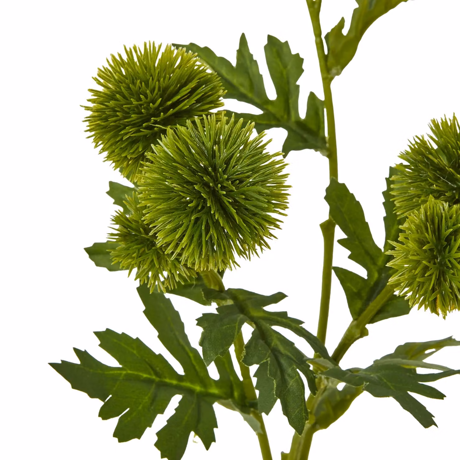 Hill Interiors Green Globe Thistle Artificial Flower Spray – 2