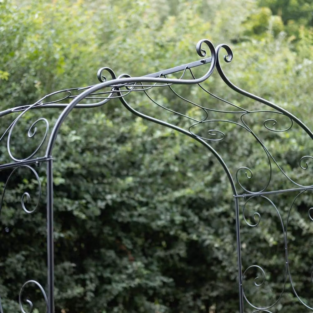 Ascalon Design Ltd Scroll Arch Metal Climbing Frame in Black, W: 130 cm, D: 42 cm, H: 230 cm – 2