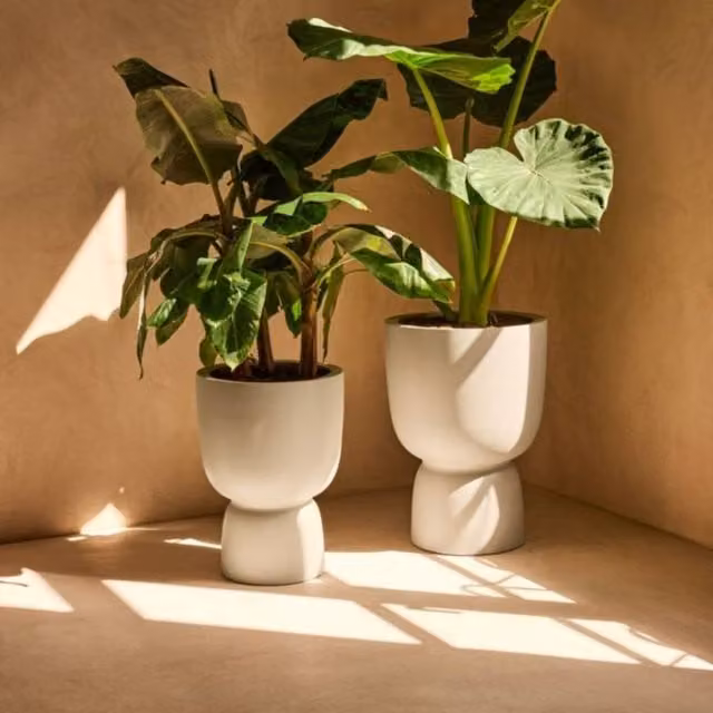 Elho Amber Coupe 41 White Indoor and Outdoor Plastic Plant Pot