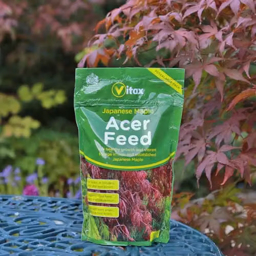 Vitax Japanese Maple Acer Feed Slow Release Plant Tonic, 0.9kg Pouch – 2