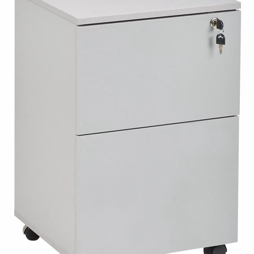 Wyld and Coco Light Grey 2-Drawer Key-Locked Office Storage Unit on Castors – 2