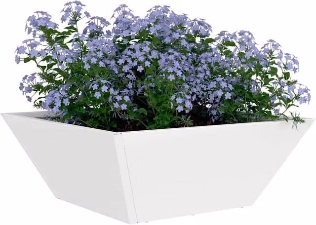 Berkfield Home White Steel Garden Bowl Planter, W/D/H: 40 x 40 x 15 cm – 1