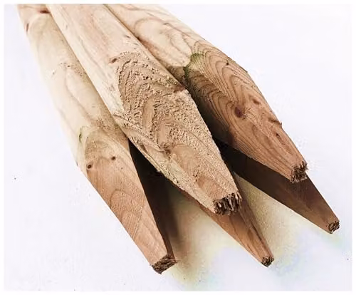 F&G Supplies Pressure Treated Round Wooden Fence Posts, 20 Pack, H: 150 cm, Diameter: 5 cm – 4