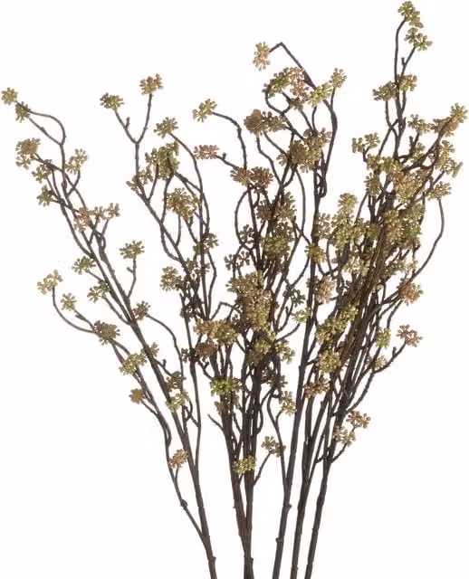 KDMK Branch in Bloom Filler Artistic Organic Decor - Green