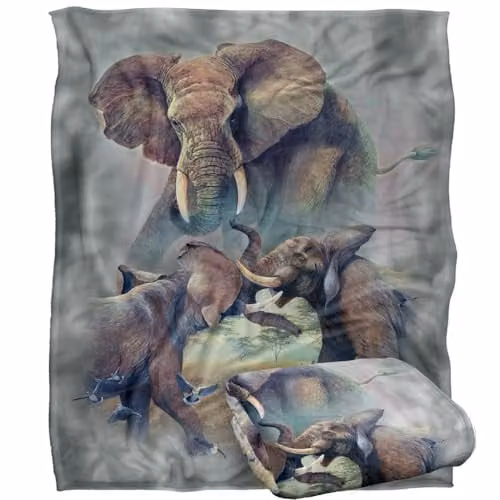 JQ Licensing Elephants Fighting Silky Touch Super Soft Fleece Throw Blanket, White, W/D/H: 152 x 127 cm