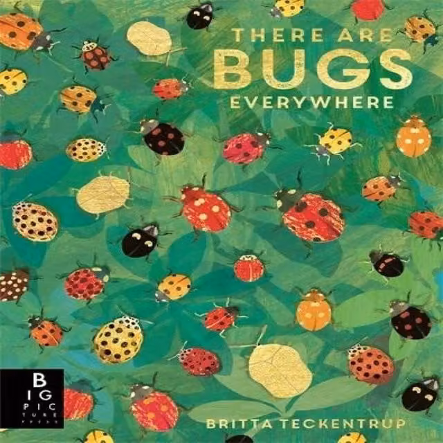 Lily Murray There are Bugs Everywhere Paperback Book, Multicolour