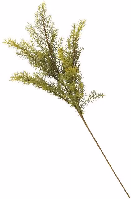Bloom Artificial Single Safari Pine Flower Stem, Green, Length: 60 cm
