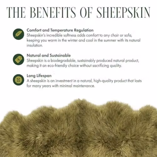 Infinity Leather Genuine Sheepskin Wool Rug, Green, W: 90 cm, D: 60 cm – 4