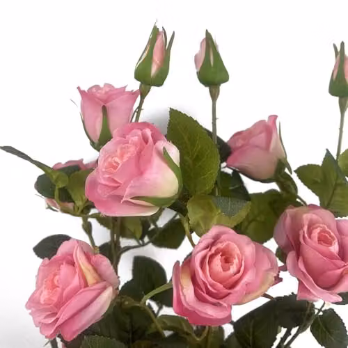 Botanik UK Pink Rose Artificial Flowering Tabletop Tree H 60 cm x W 30 cm x D 30 cm – 6