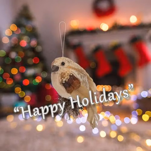 VFM e-Store Gold Christmas Bird Hanging Decoration, W: 15 cm, D: 8 cm – 3