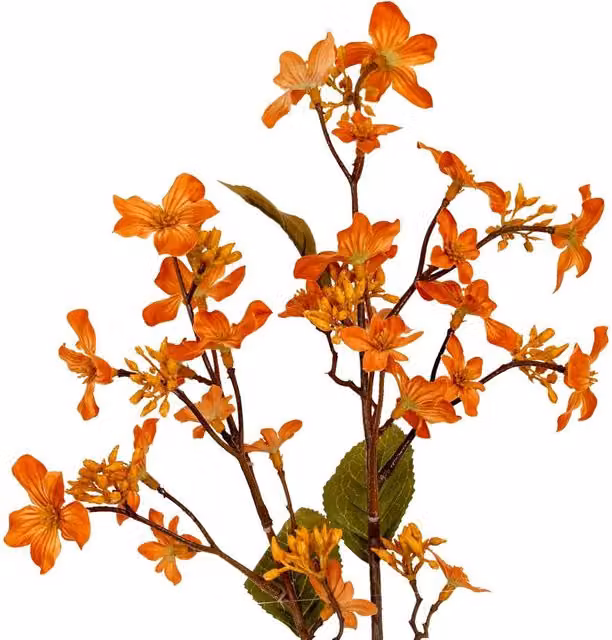 Hill Interiors Vernicia Fordii Artificial Flower Spray in Orange