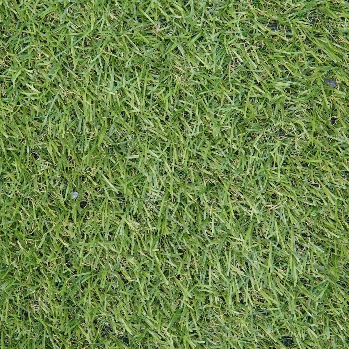 Artificial Grass GB Adelaide 20mm Artificial Grass in Green, W: 400 cm, D: 700 cm – 4