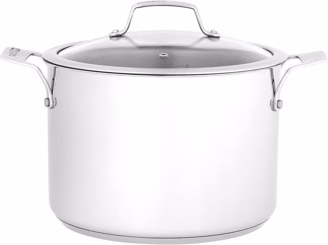 Stellar 6L Uncoated Stainless Steel Stockpot with Glass Lid, Metallic Silver, Diameter: 24 cm