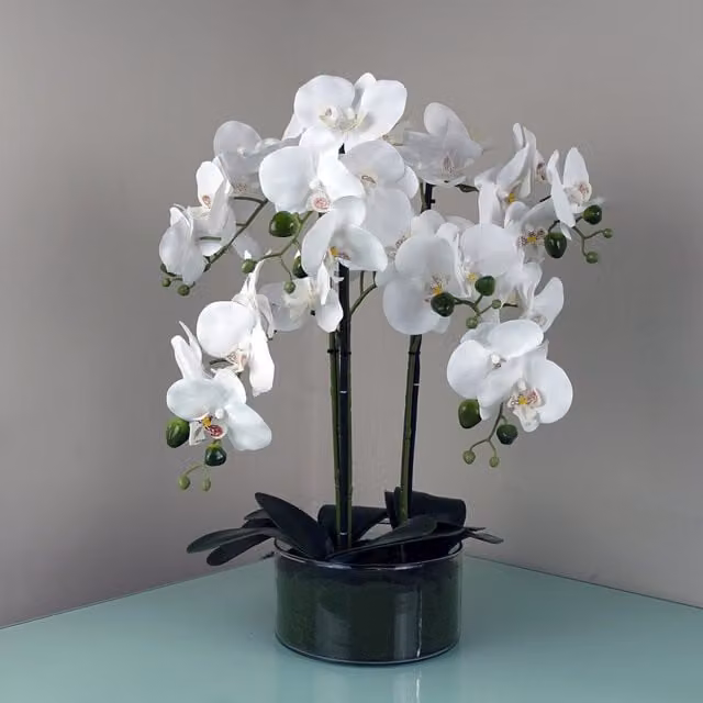 White Artificial Orchid with Round Glass Planter and Green Leaves