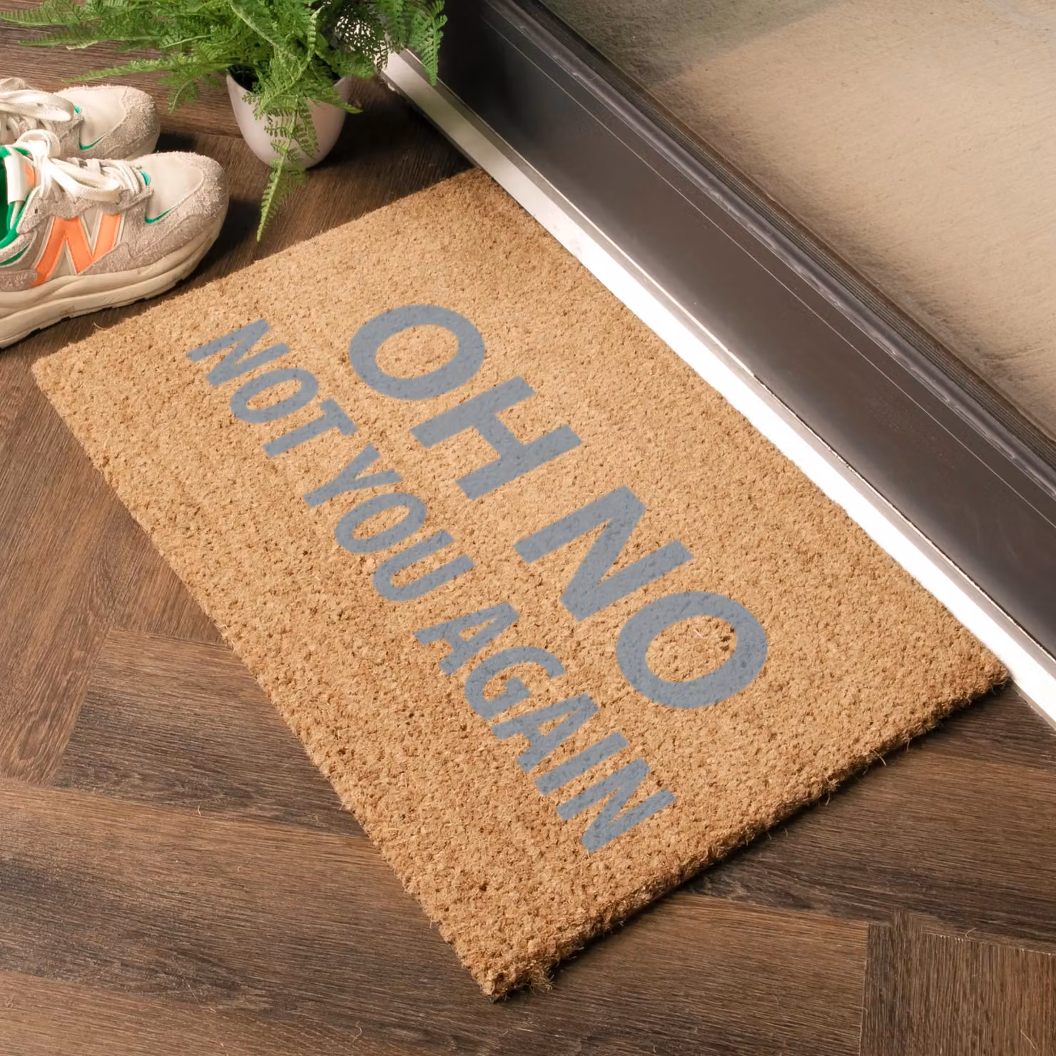Artsy Mats Oh No Not You Again Grey Coir Doormat, W/D: 60 x 40 cm – 2