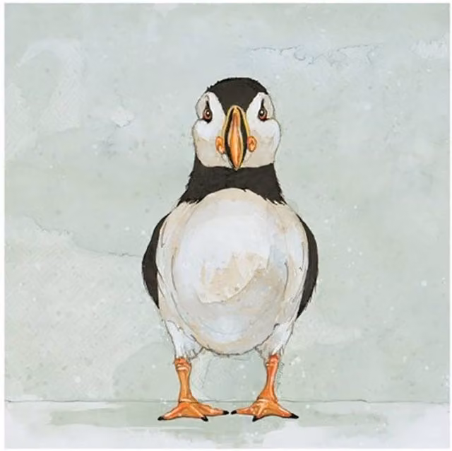 Bev Davies Peering Puffin Multicolour Paper Poster
