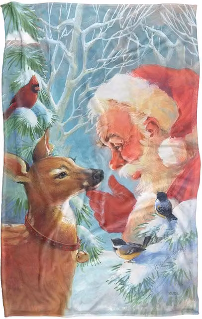 JQ Licensing Christmas Santa and New Fawn Silky Touch Super Soft Fleece Throw Blanket, Multicolour, W: 91 cm, D: 147 cm – 5