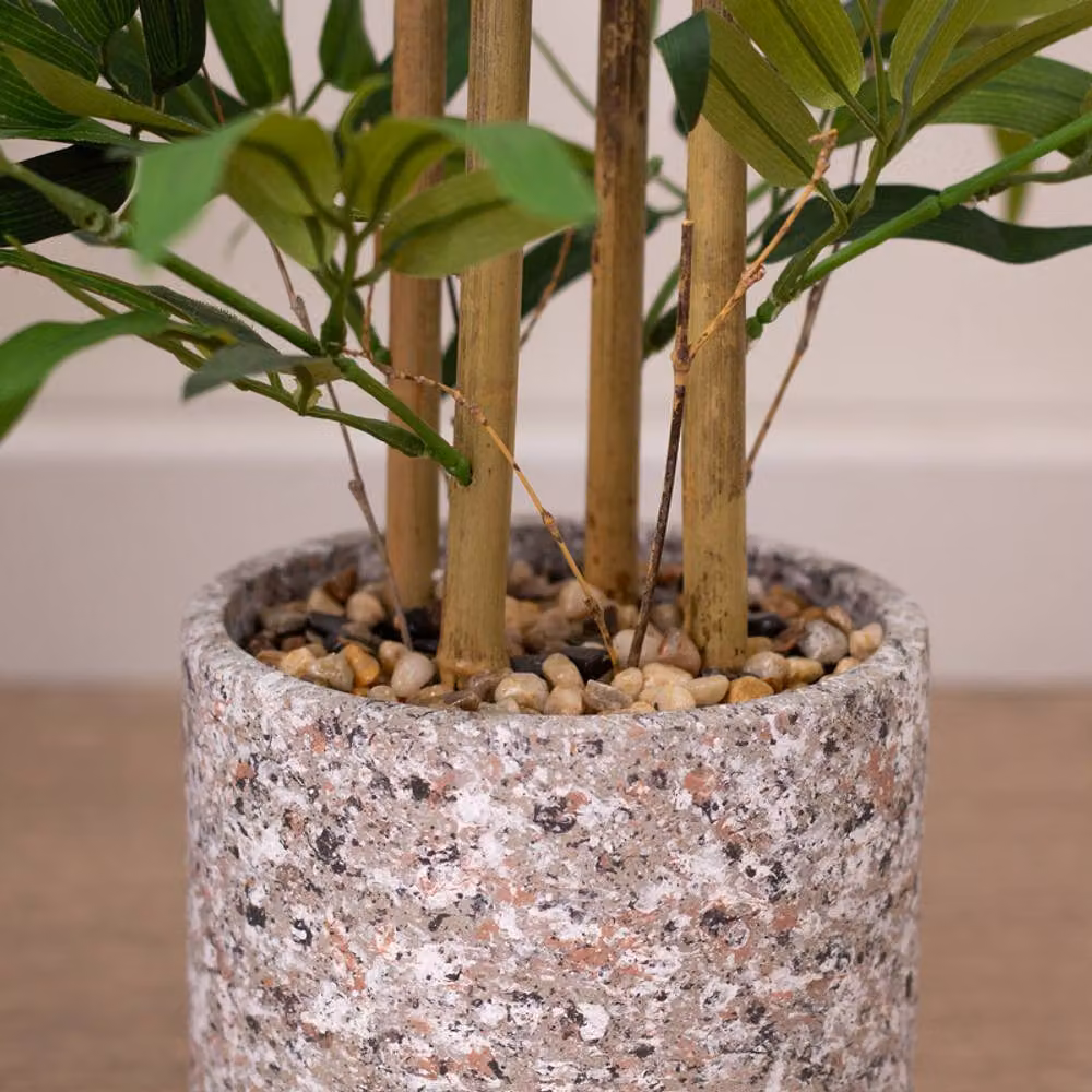 Scottish Everlastings Ltd Green Tabletop Bamboo in a Concrete Pot – 3