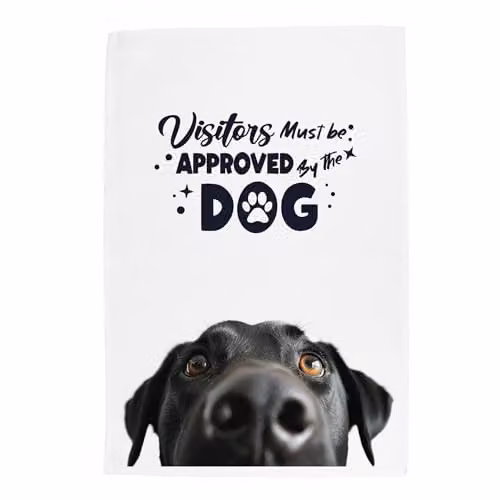 Purely Home Peeping Black Labrador Tea Towel, Multicolour, W: 67 cm, H: 45 cm