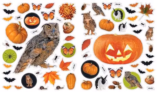 Workman Publishing Eyelike Halloween Stickers in Multicolour – 3