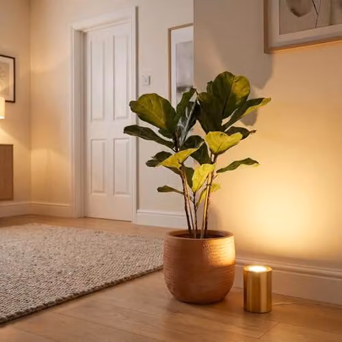 Happy Homewares Modern Gold Metal LED Tabletop Uplighter with Bulb Included, W/D/H: 11 x 9 x 9 cm – 2