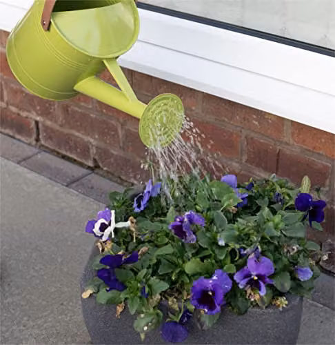 St Helens Home & Garden Metal Watering Can, Green, 4.5 l – 4