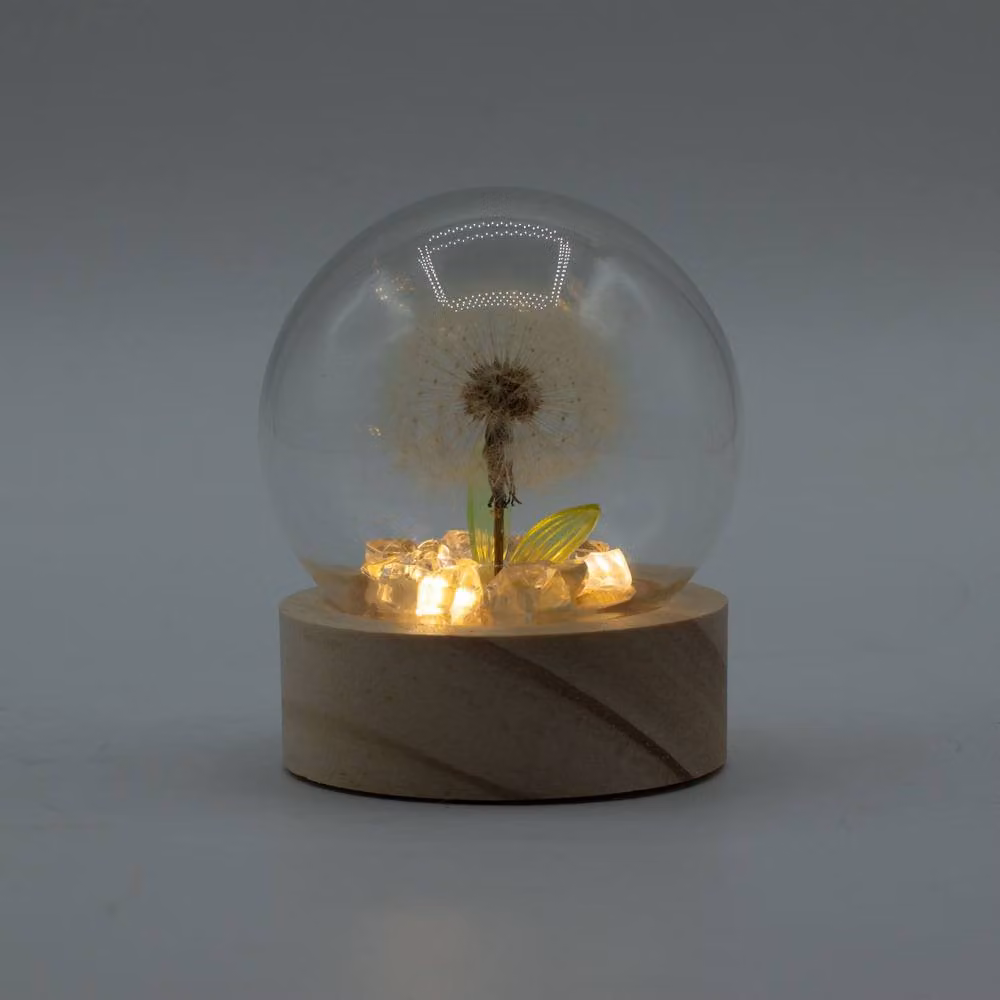 Serenityy Floral Glow Garden Dome White Dandelion LED Battery Tabletop Decoration, Diameter: 15.24 cm – 2