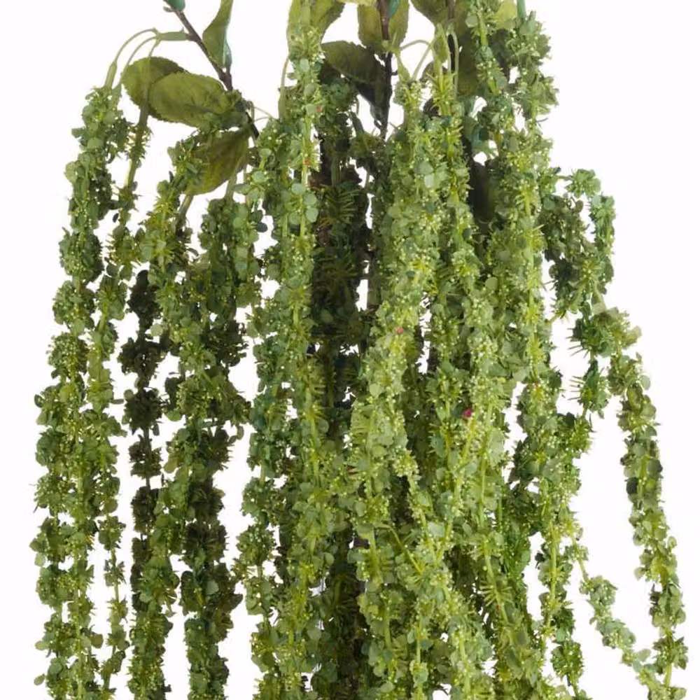 Lemon Pavilion Furniture and Decor Amaranthus Artificial Green Plant, Plastic, W: 7 cm, D: 7 cm, H: 100 cm – 3