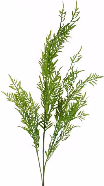 Leaf Green Artificial Boston Fern Stem, Height: 120 cm