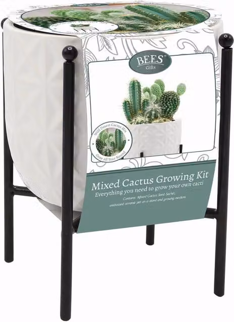 Bees Ceramic Cactus Indoor Gift Set - White