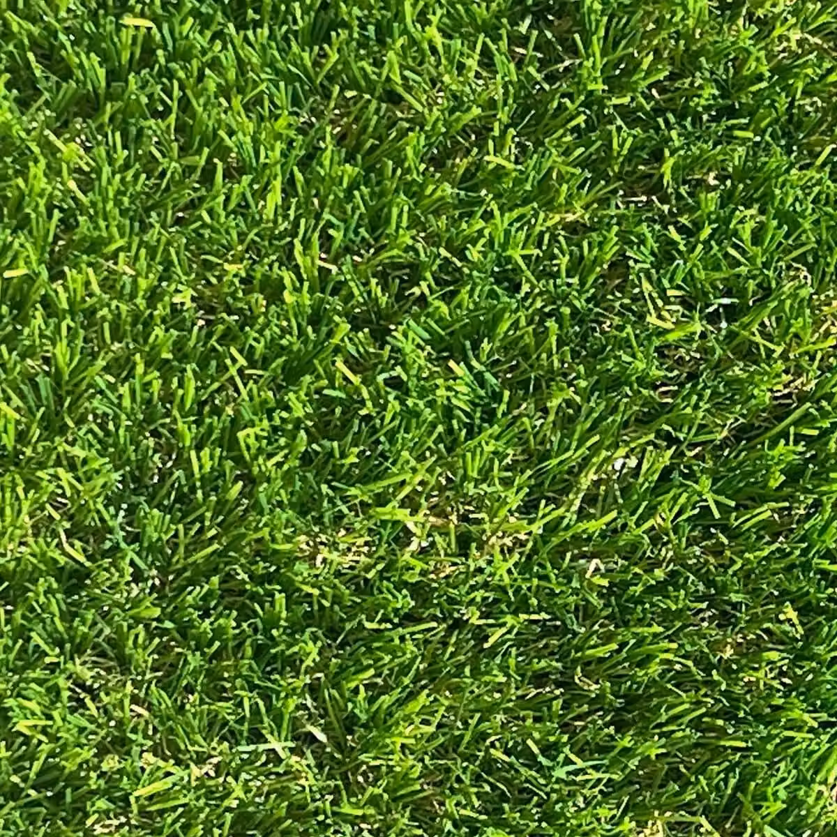 Artificial Grass GB Pebble Beach 35mm Artificial Grass in Green and Brown, W: 400 cm x D: 300 cm – 5