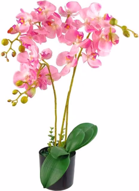 Dyzi Pink Artificial Phalaenopsis Orchid in a Tabletop Pot, Height: 60 cm