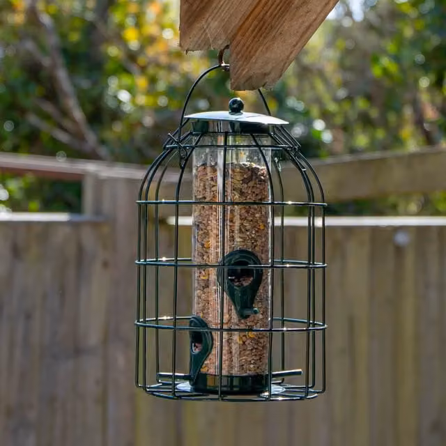 Natures Market BF008S Green Metal Wild Bird Seed Feeder Cage with Squirrel Guard – 1
