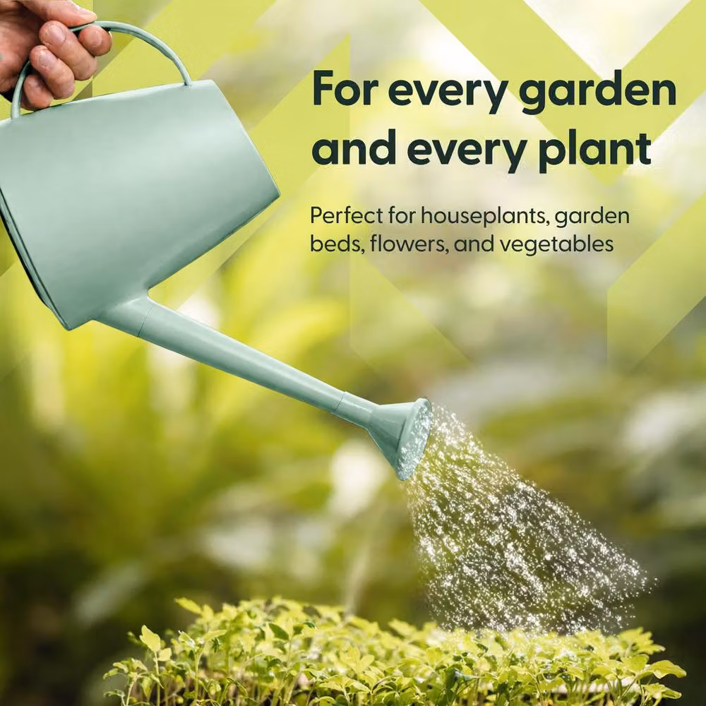 Keplin Green Plastic Watering Can with Sprinkler Rose, 1.8 l – 6